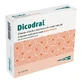 Dicodral 12 sobres