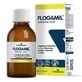 Flogamil Orale Lösung 100 Ml Schokolade