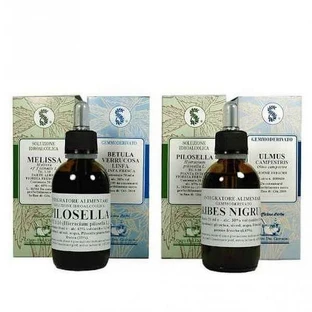Artemisia 100 Ml Gouttes