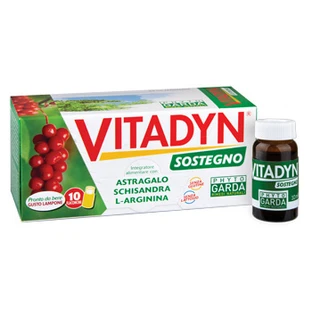 Vitadyn Apoyo 10fl 10ml