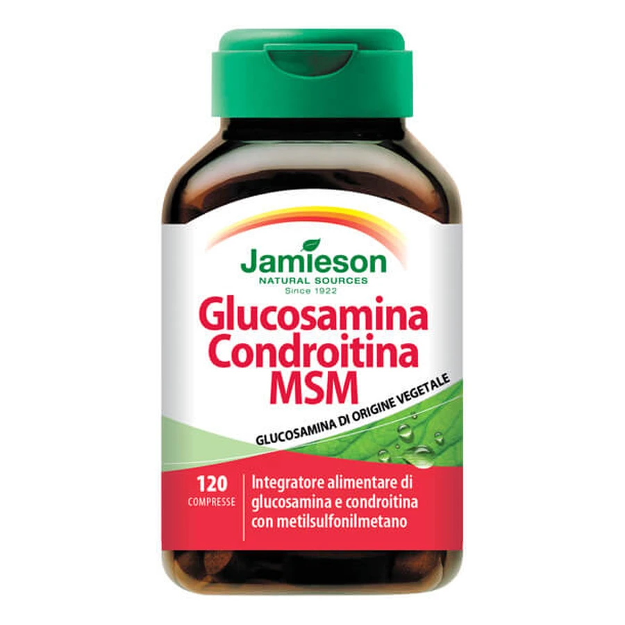 GLUCOSAMINE CHONDROIT MSM120CPR