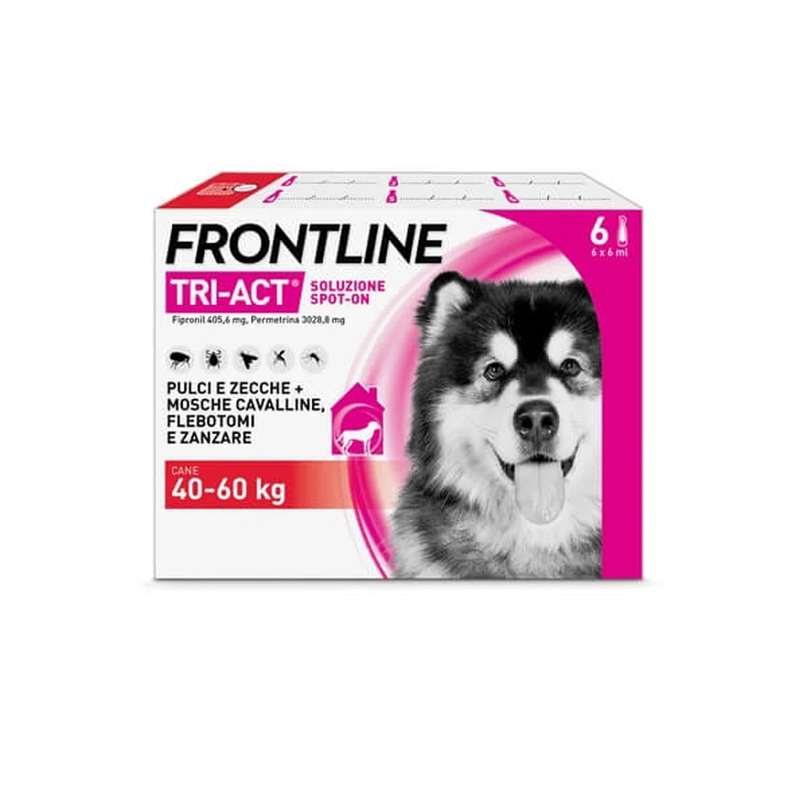 Frontline Tri-Act 6 pipet przeciw pasożytom XL psy i szczenięta 40-60kg: ceny i cechy