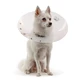KVP ELIZABETHAN SAF-T-SHIELD COLLAR 53-69 CM