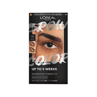 L OREAL BROW TINT 1.0 BLACK