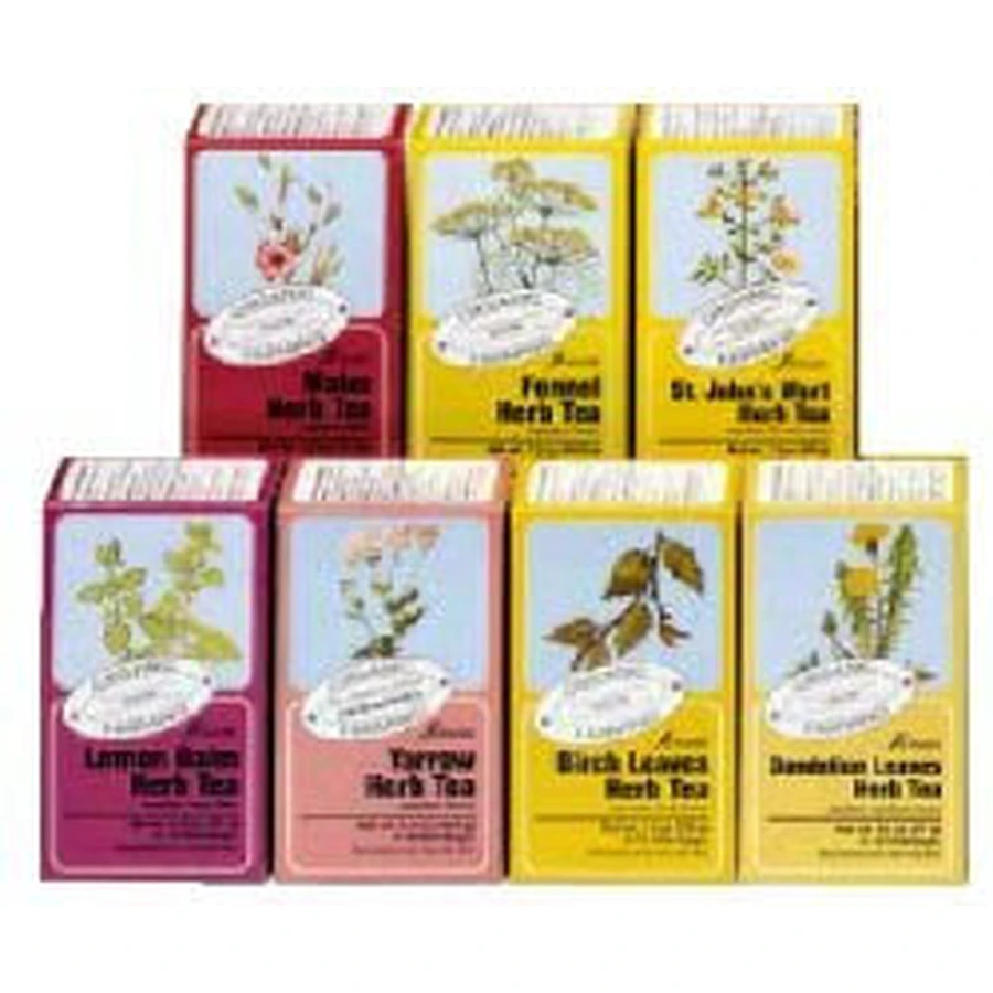 Salus Verbena Biologische Kruidenthee 15 Filters