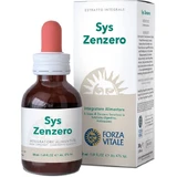 Sys Ginger Drops 50ml