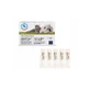 SKIN ENERGY CICATREX 5 flacons x 3ml