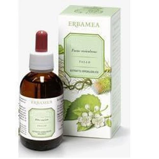 Ginkgo Biloba bladeren EI 50ml