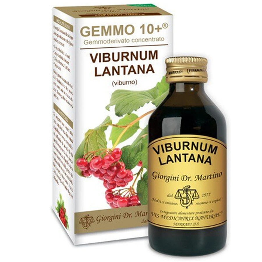 VIBURNUM PŁYN BEZALKOHOLOWY 100ML GIORGINI: ceny i cechy