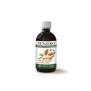 INGWEREXTRAKT INTEGRIEREN 500ML
