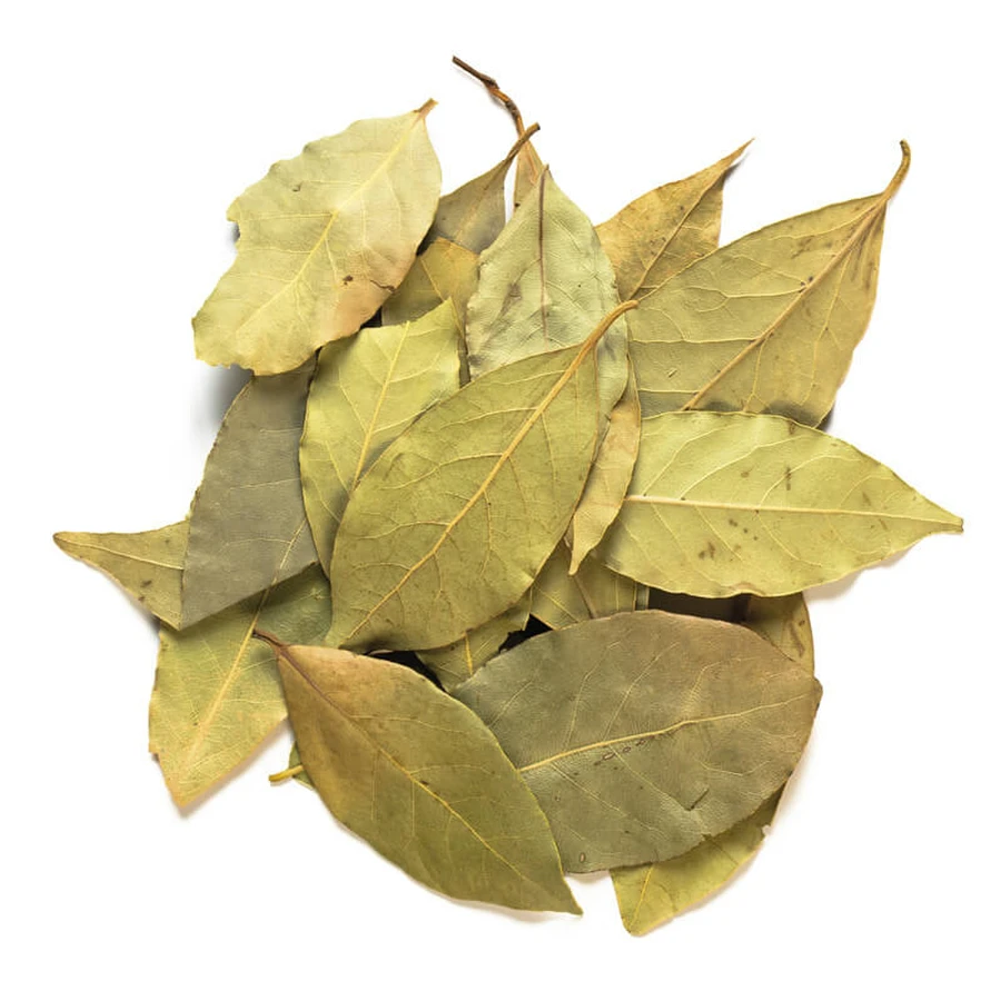 Laurier dans 100 g de feuilles entières pour infusions et décoctions