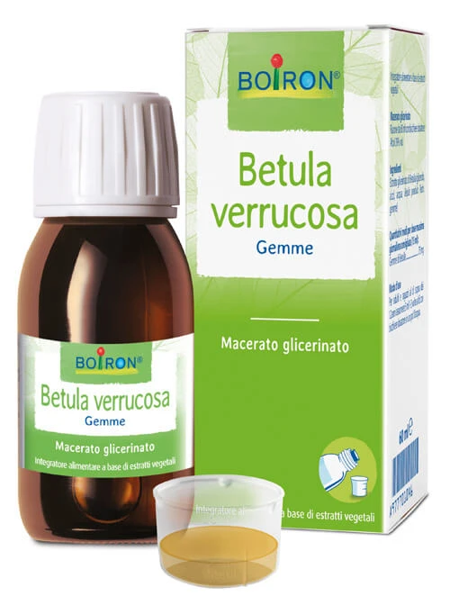 Betula Verrucus Glycerine Maceraat 60ml Boiron