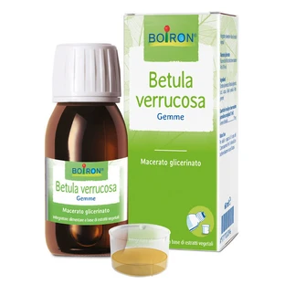 Betula Verrucus Glycerine Maceraat 60ml Boiron