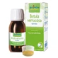 Betula Verrucus Glycerine Maceraat 60ml Boiron