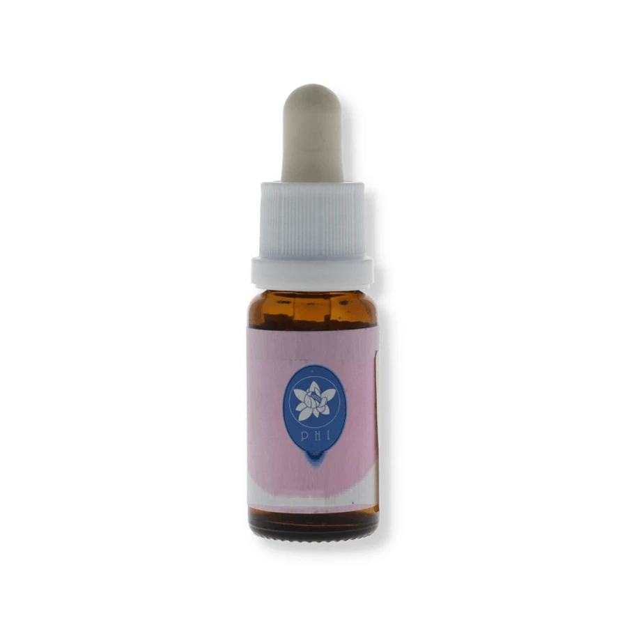 Engel Orchidee Essentie Korta PHI Essences 15ml