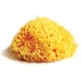 Natural Mediterranean sponge Atenei Laboratories 12