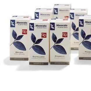 Potentille 50ml Tm