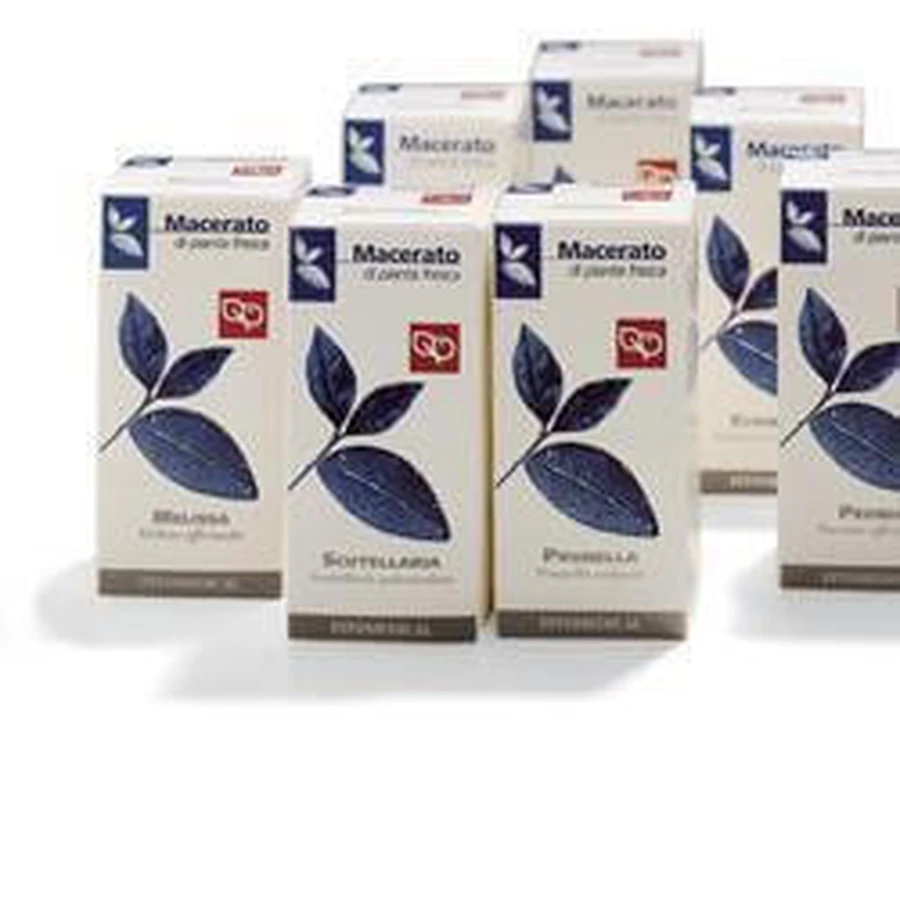 Potentille 50ml Tm