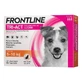 Frontline Tri-Act spot-on solution for dogs 5-10 kg (3 pipettes)