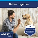 Ceva Tiergesundheit Adaptil calm - 3 Nachfüllungen für Diffusor mit Pheromonen für Hund Gelassenheit 60 ml