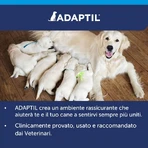 Ceva Tiergesundheit Adaptil calm - 3 Nachfüllungen für Diffusor mit Pheromonen für Hund Gelassenheit 60 ml