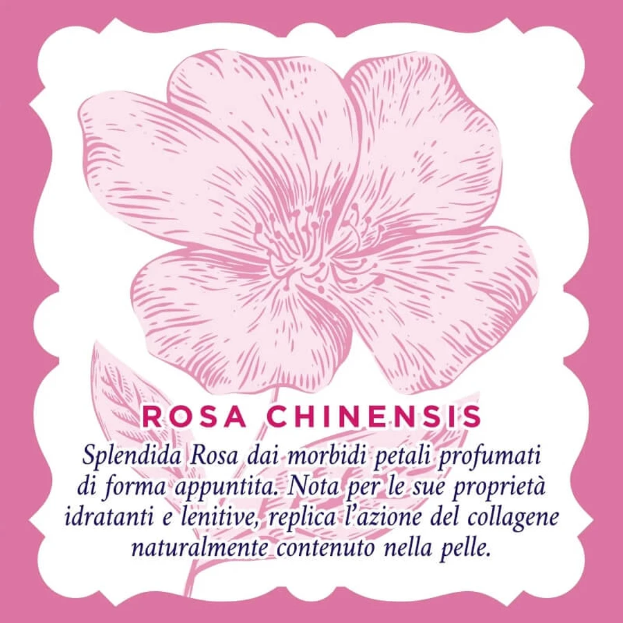 Rosenwasser 20 beruhigende Make-up-Entfernungstücher