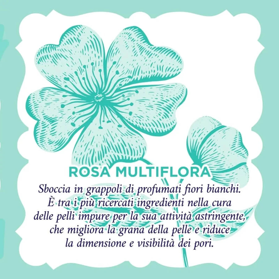 Purifying rose water - mattifying anti-imperfection fabric face mask