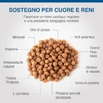 Dechra Heart &amp; kidney support (ckd) - dietary food for dogs with heart and kidney failure 2 kg
