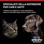 Dechra Heart &amp; kidney support (ckd) - dietary food for dogs with heart and kidney failure 2 kg
