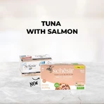 Schesir Nutriție completă fileuri în jeleu cu somon - hrană completă pentru pisici 6x 50 gr