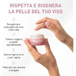 Equilibra hyaluronic rose - przeciwstarzeniowy krem do twarzy 50 ml: ceny i cechy