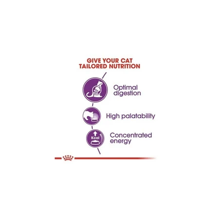 Royal canin Regular sensible 33 - volledige voeding voor volwassen katten met spijsverteringsproblemen 4 kg