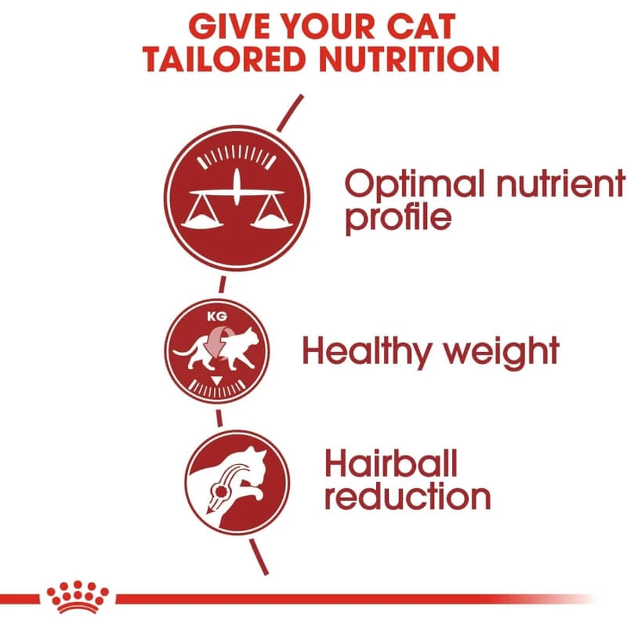 Royal canin Fit 32 - hrană completă pentru pisici domestice 10 kg