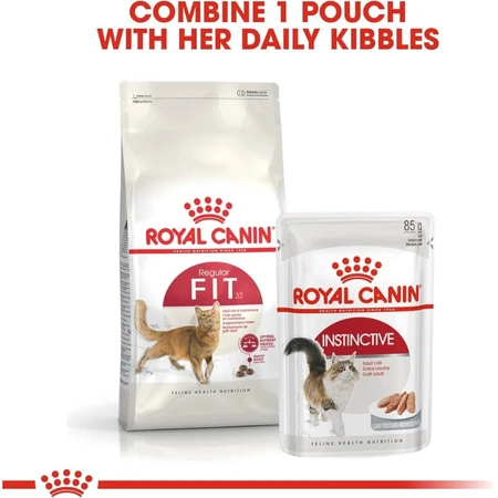 Royal canin Fit 32 - hrană completă pentru pisici domestice 10 kg