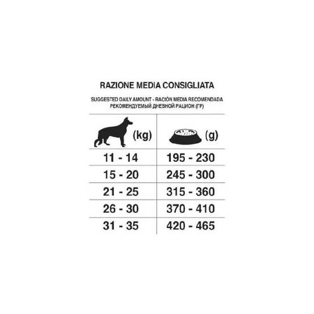 Forza10 Mantenimiento adulto mediano con ciervo con patatas - alimento completo para perros 2 kg