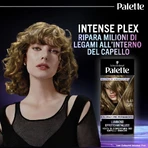 Palette Metallic collection - trwała koloryzacja nr. 6_61 złoty blond: ceny i cechy