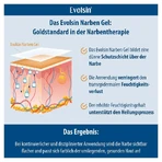 Evolsin Littekengel 20 g