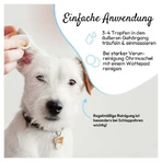PHA Oordruppels Hond 100 ml