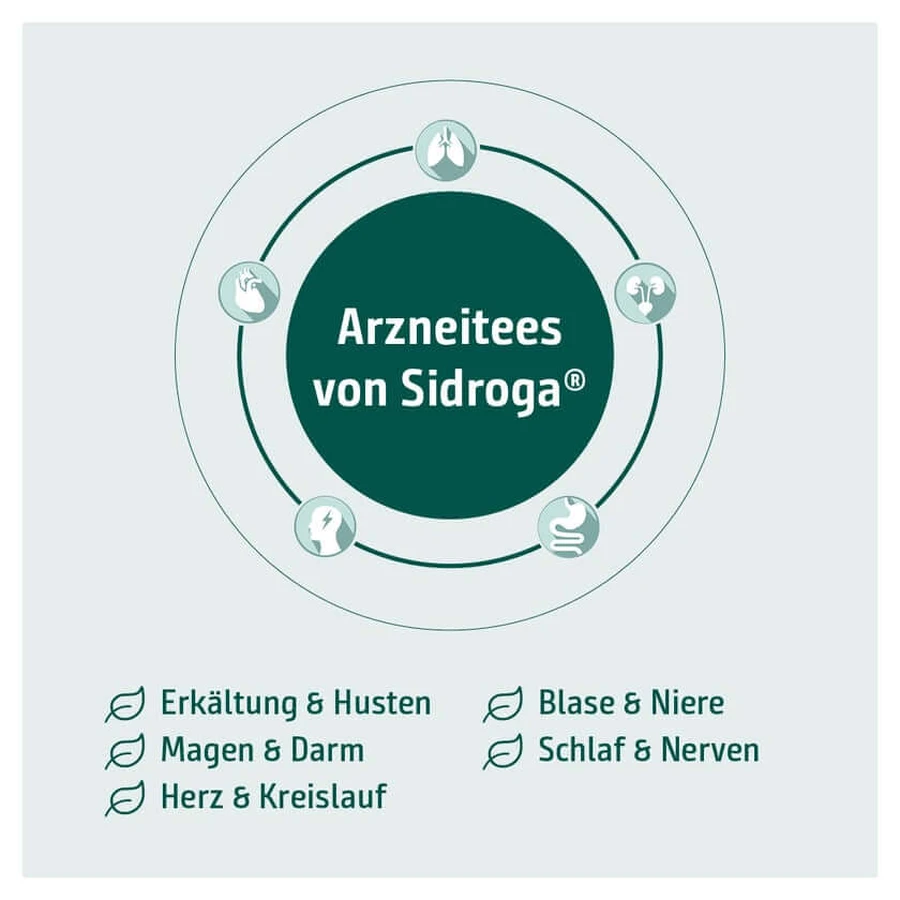 Sidroga Frauenmantelkraut Tee Filterbeutel 20X1,0 g