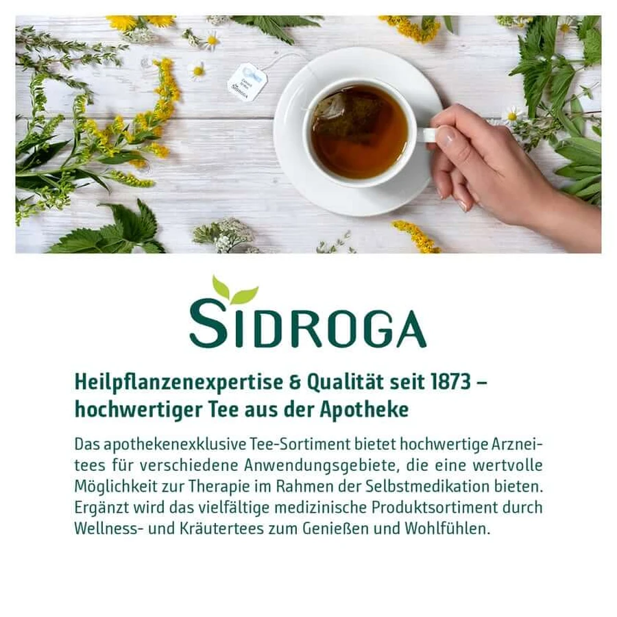 Sidroga Frauenmantelkraut Tee Filterbeutel 20X1,0 g