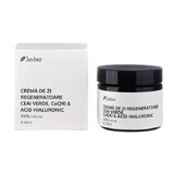 Crème de Jour Q10 Régénérante Thé vert & Acide hyaluronique, 60 ml, Sabio