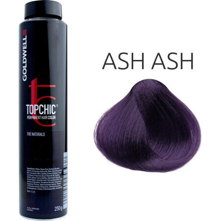 Goldwell Top Chic Can ASH Permanent Paint ASH 250ml 