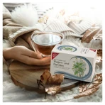 H&S Maag en Darm Thee filterzakjes 20X2,0 g