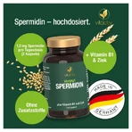 Espermidina cápsulas 60 St