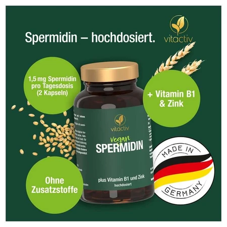 Espermidina cápsulas 60 St