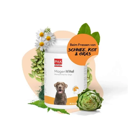 PHA MagenVital Psy 200 g: ceny i cechy