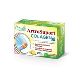 Naturalis ArtroLemon Collagen Support x 14 bustine