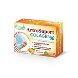 Naturalis ArthroSupport collageen oranje x 14 sachets