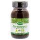 Gerstengras BIO Pulver 90 g