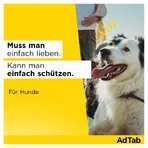 AdTab Hund 5,5 - 11 kg Kautablette 3 St